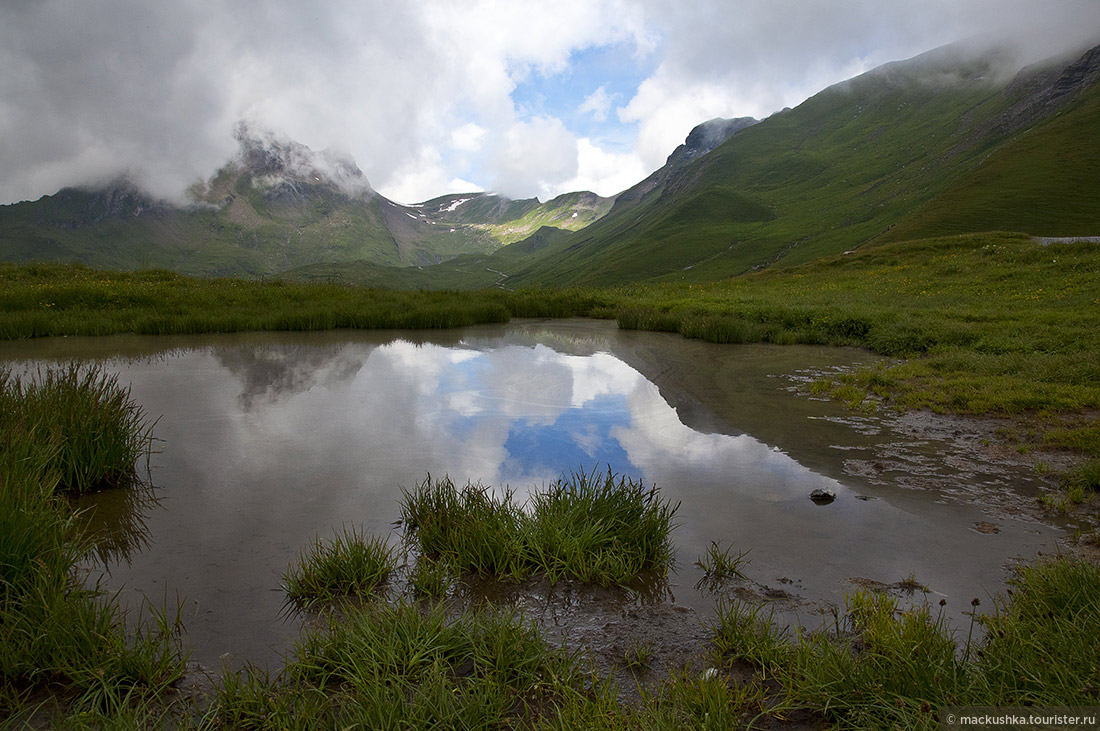 First, Grindelwald